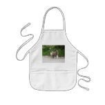 Cat  'Red' is angry aprons