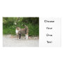 Cat  'Red' is angry Personalized Photo Card