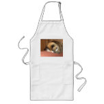 Cat 'Red' sleeping on the cough aprons