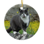 Cat Remembrance Ornament