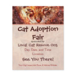 Cat Rescue Event Flyer