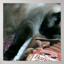 Cat Resting On Cookbook Print
