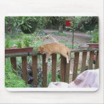 Cat Resting On Deck Railing mousepad