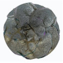 Cat Round - Ornament photo sculptures