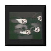 Cat Scan Magnet - black