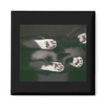 Cat Scan Magnet - black