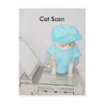 Cat Scan
