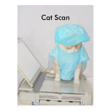 Cat Scan Postcards