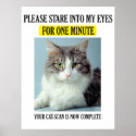Cat Scan Poster posters