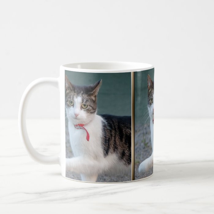 Cat Shake Hands CC0244 Coffee Mug