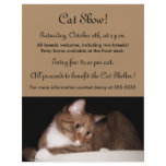 Cat Show, Pet Store, Pet Grooming flyers