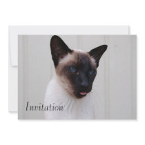 Cat Siamese Portrait Personalized Invitation