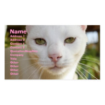 Cat sitting business card