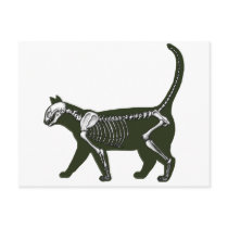 cat skeleton post card