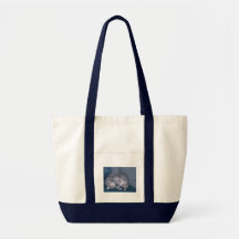 cat sleeping canvas bags
