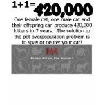 cat spay neuter t-shirt