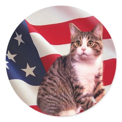 Cat Sticker All American by purrfection