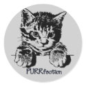 Cat Sticker Purrfection