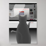 cat-surfing-2011 posters