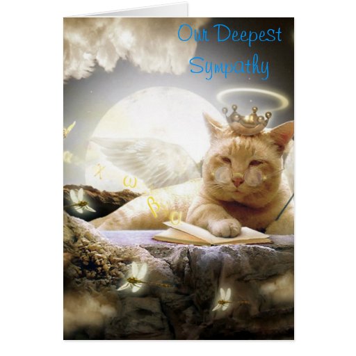 cat-sympathy-card-zazzle