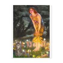 CAT (Tabby1) - MidEve Post Card