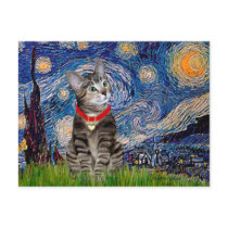 CAT (Tabby2) - Starry Night Post Card