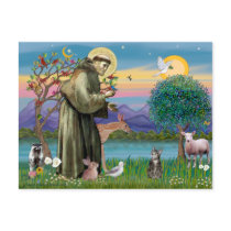 Cat (Tabby 2) - Saint Francis Post Cards