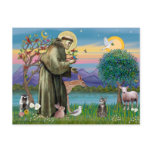 Cat (Tabby 2) - Saint Francis postcards