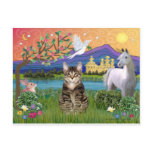Cat -(Tabby) - Fantasy Land postcards