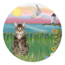 Cat (tabby) - Lighthouse