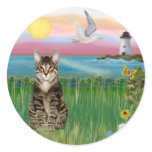 Cat (tabby) - Lighthouse stickers