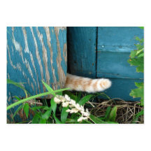 Cat Tail ~ ATC Business Card Template