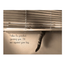 Cat Tails Postcard