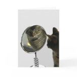 Cat Thinking And Looking In Mirror Greeting Card