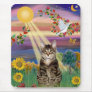 Cat (Tiger) - Autumn Sun