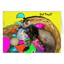 Cat Toys? Card