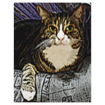 Cat under a sheet flyers
