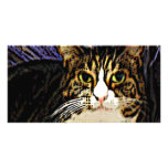 Cat under a sheet photo cards