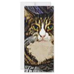 Cat under a sheet rack cards