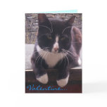 cat Valentine's Day card