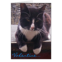 cat Valentine's Day card