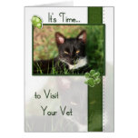 Cat Veterinary Appointment Reminder