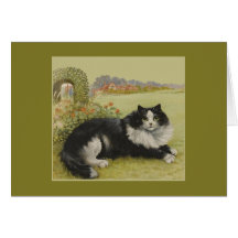 Cat Vintage Card