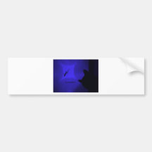 CAT VS GECKO MULTICOLORS BUMPER STICKER