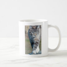 Cat Walk Mug