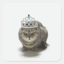 Cat wearing a tiara square sticker