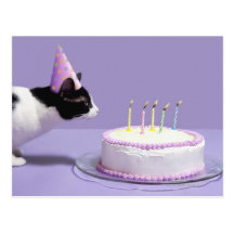 Cat wearing birthday hat blowing out candles on postcard