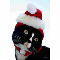 Cat wearing santa hat photograph, BW kitty