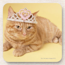 Cat wearing tiara coasters