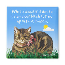 Cat "What A Beautiful Day"